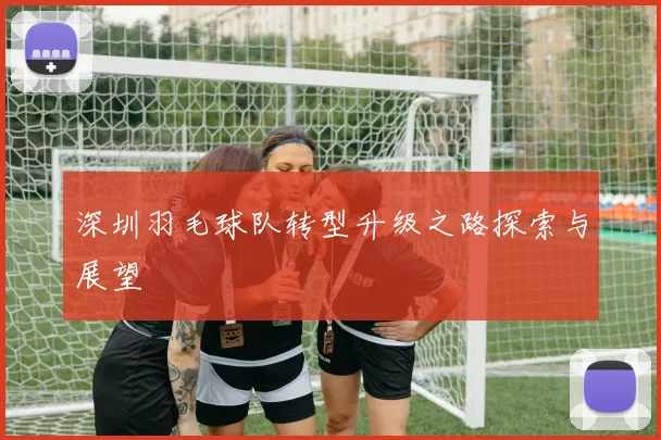 深圳羽毛球队转型升级之路探索与展望
