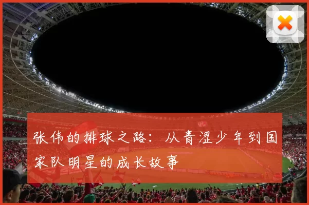 张伟的排球之路：从青涩少年到国家队明星的成长故事
