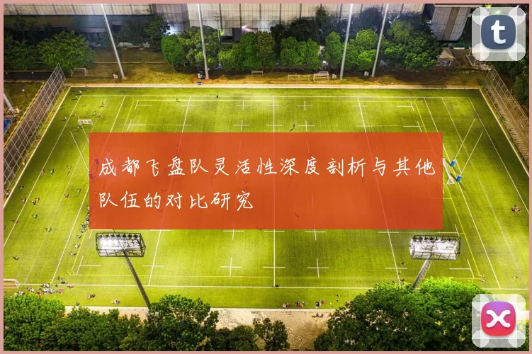 成都飞盘队灵活性深度剖析与其他队伍的对比研究