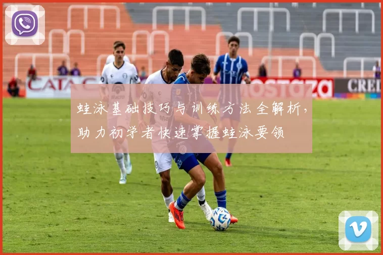 蛙泳基础技巧与训练方法全解析，助力初学者快速掌握蛙泳要领