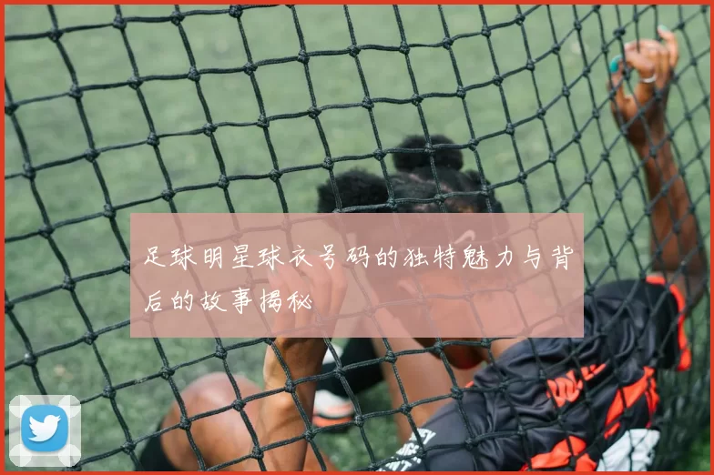 足球明星球衣号码的独特魅力与背后的故事揭秘