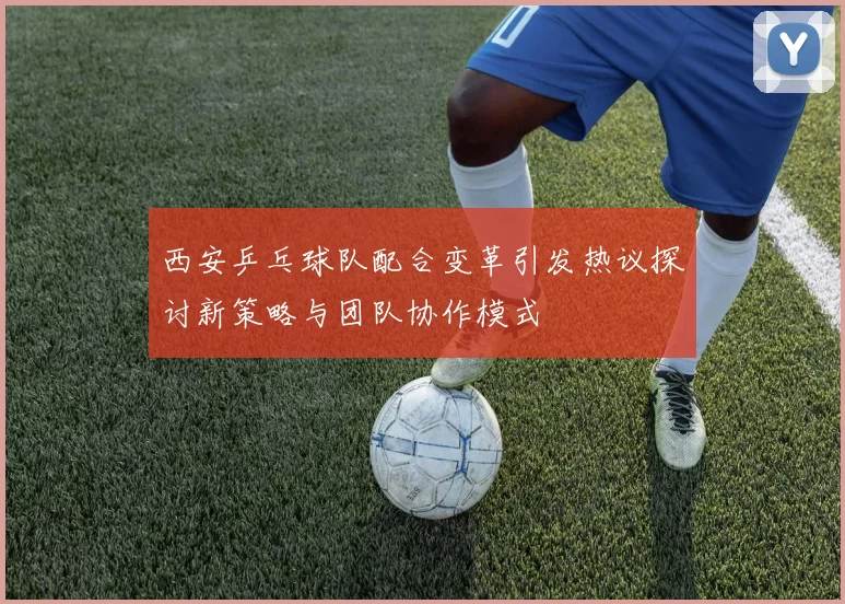 西安乒乓球队配合变革引发热议探讨新策略与团队协作模式