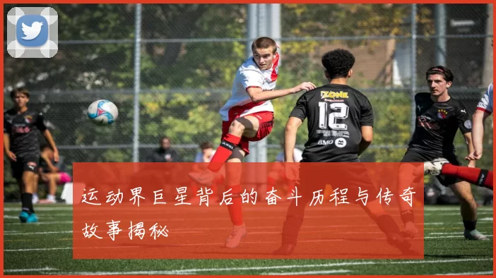 运动界巨星背后的奋斗历程与传奇故事揭秘