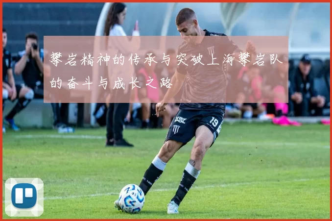 攀岩精神的传承与突破上海攀岩队的奋斗与成长之路