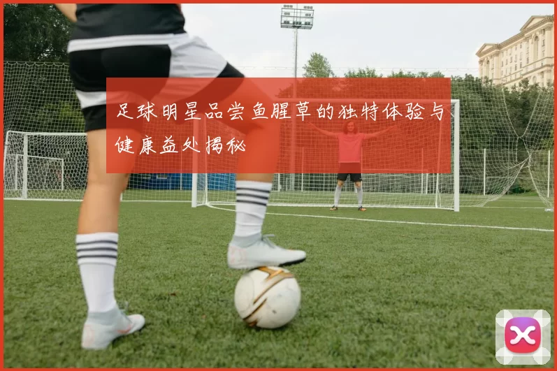 足球明星品尝鱼腥草的独特体验与健康益处揭秘